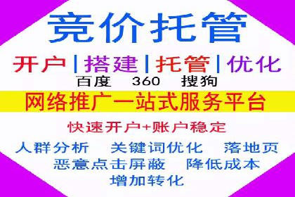 高效SEM托管服务：成功案例深度解析